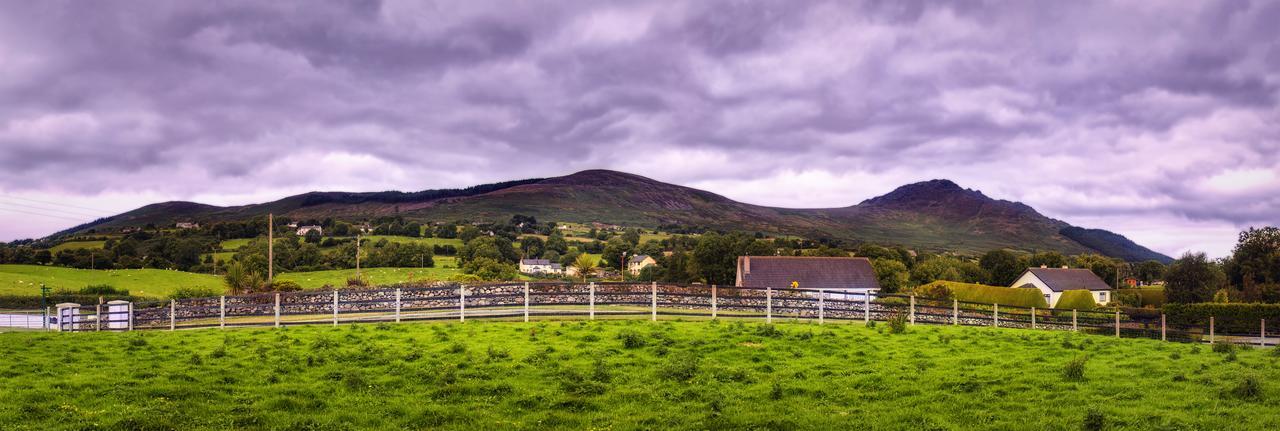 Bed and Breakfast Walkers Nest Carlingford Esterno foto